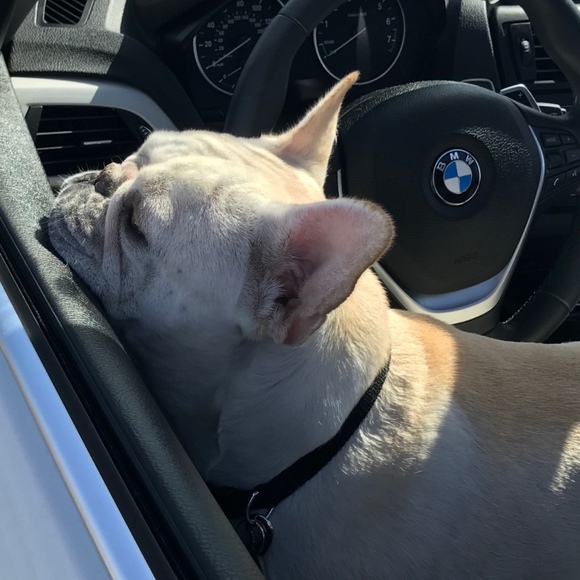 Meet your Posher, Jen - Picture 1 of 1